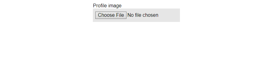 profile image file input preview